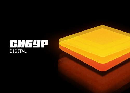 Data science meetup SIBUR 