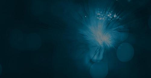 Open Day at Orion Innovation (formerly MERA)